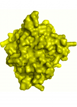 N-Galactosaminyl-transferase-enzyme